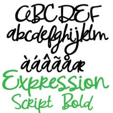 pn expression script bold