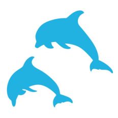 dolphins leaping