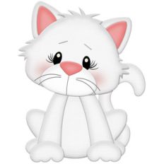 white kitty cat