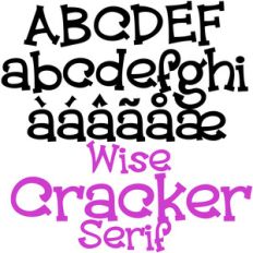 pn wise cracker serif