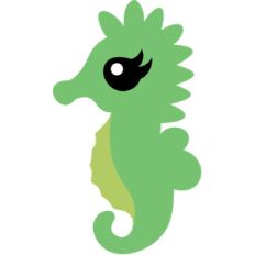 baby seahorse