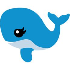 baby whale