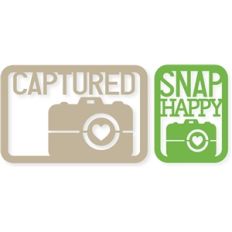 4x6 'camera snap happy' life card