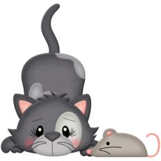 gray cat with toy mouse