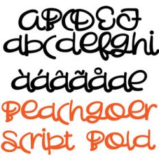 pn beachgoer script bold