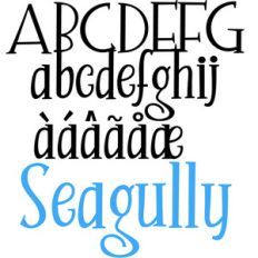 zp seagully