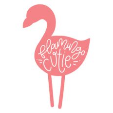 flamingo cutie