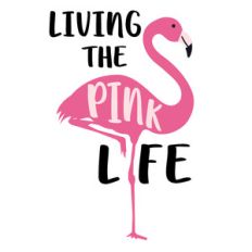 living the pink life