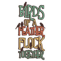 calamity kids - birds of a feather
