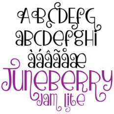 pn juneberry jam lite