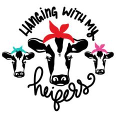 hanging with my heifers