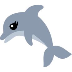 baby dolphin