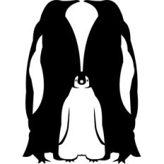 couple of penguins with penguin silhouette