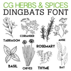cg herbs and spices dingbats