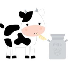 cow - on the farm