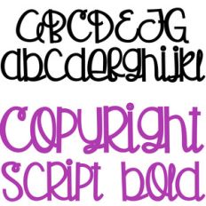 pn copyright script bold