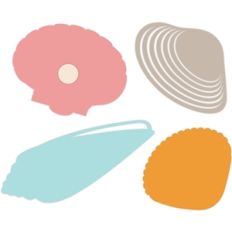 sea creature shells