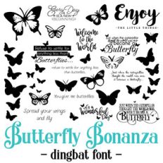 butterfly bonanza font