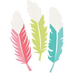 feather set