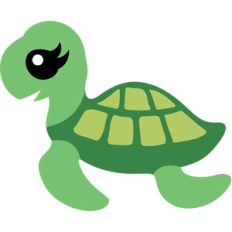 baby sea turtle