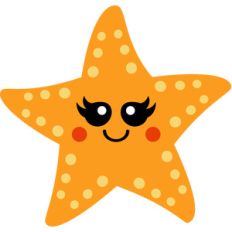 baby starfish
