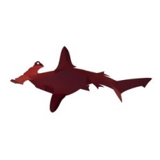 3d hammerhead shark