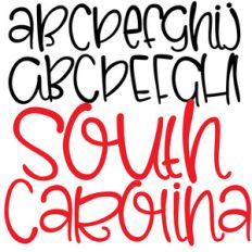 pn south carolina