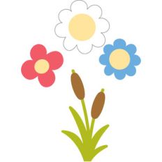 flowers and fox tails - on the farm
