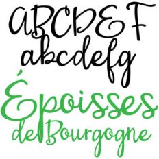pn Époisses de bourgogne