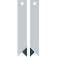 geo earrings