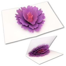 pop-up flower