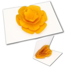 pop-up flower