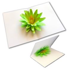 pop-up flower