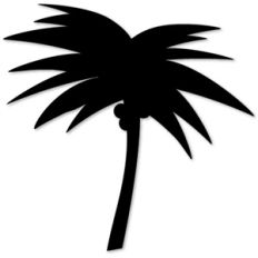 palm tree