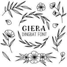 ciera dingbat font floral illustrations