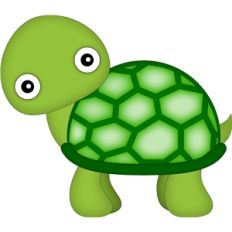 turtle