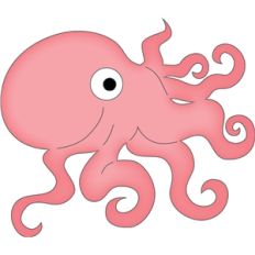 octopus