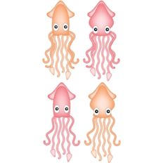 squid