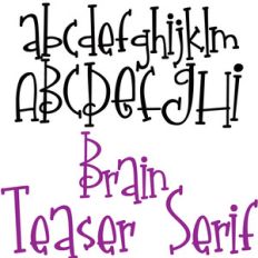 zp brain teaser serif