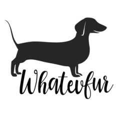 whatever - dog