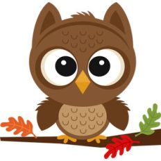 fall owl