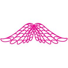 wings
