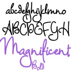 pn magnificent bold