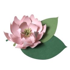magnolia flower 3d