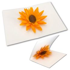 pop-up flower