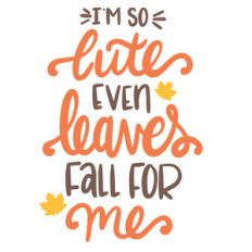 i'm so cute even leaves fall for me