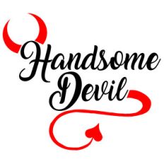 handsome devil