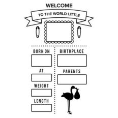 baby birth stats chart