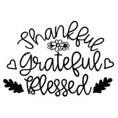 thankful grateful blessed