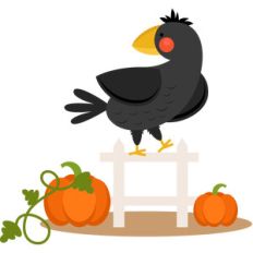 fall crow